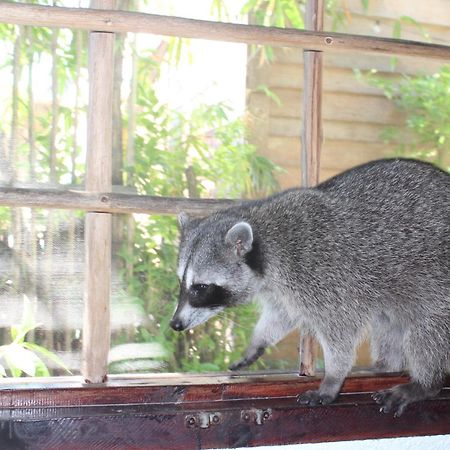 Hostel Utopia Isla Holbox Екстериор снимка