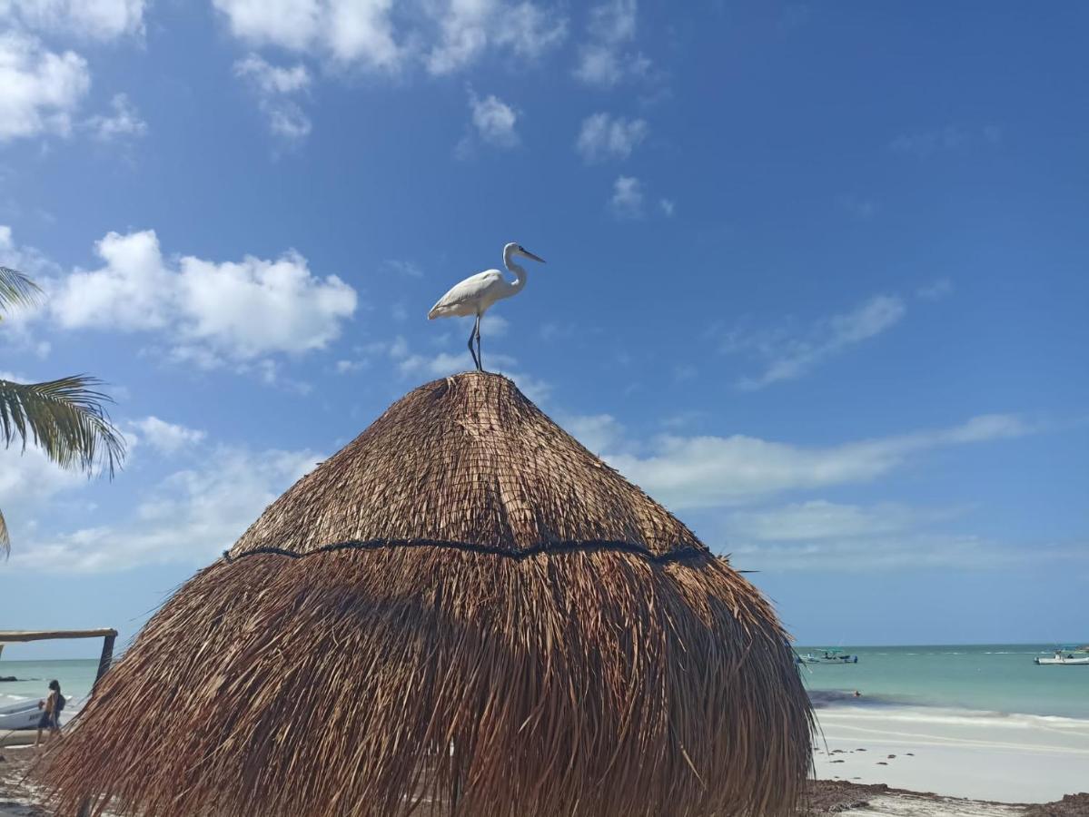 Hostel Utopia Isla Holbox Екстериор снимка